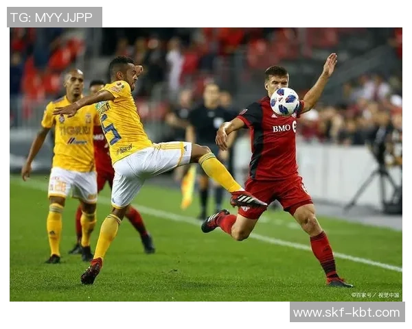 温哥华白帽对阵科罗拉多急速直播赛事精彩回顾与分析 温哥华白帽对阵科罗拉多急速直播赛事精彩回顾与分析